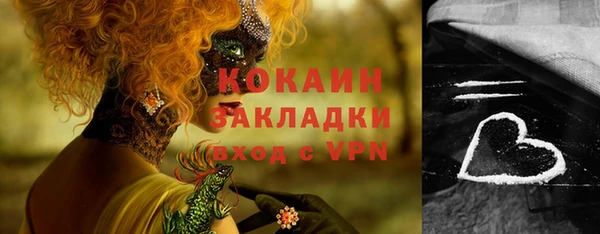 бошки Лагань