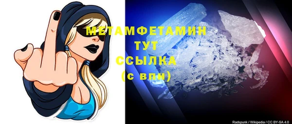 ГАЛЛЮЦИНОГЕННЫЕ ГРИБЫ Ладушкин