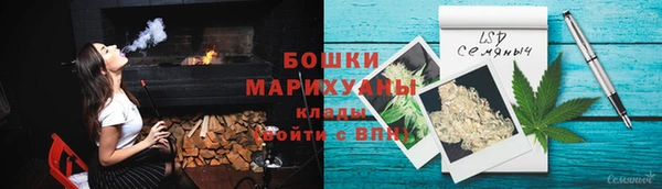 ГАЛЛЮЦИНОГЕННЫЕ ГРИБЫ Ладушкин