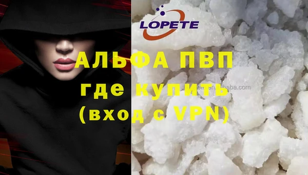 ГАЛЛЮЦИНОГЕННЫЕ ГРИБЫ Ладушкин