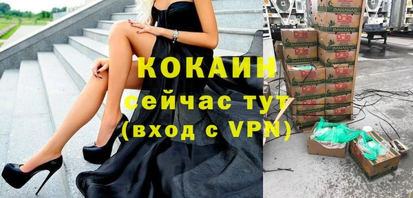 бошки Лагань