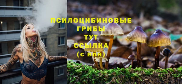 ГАЛЛЮЦИНОГЕННЫЕ ГРИБЫ Ладушкин