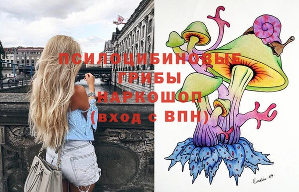 ешки Лабытнанги