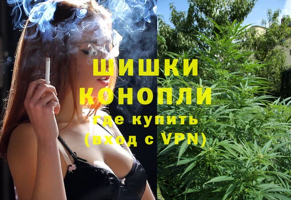 ГАЛЛЮЦИНОГЕННЫЕ ГРИБЫ Ладушкин
