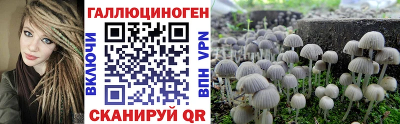 Псилоцибиновые грибы Psilocybine cubensis  Купить  Ковылкино 